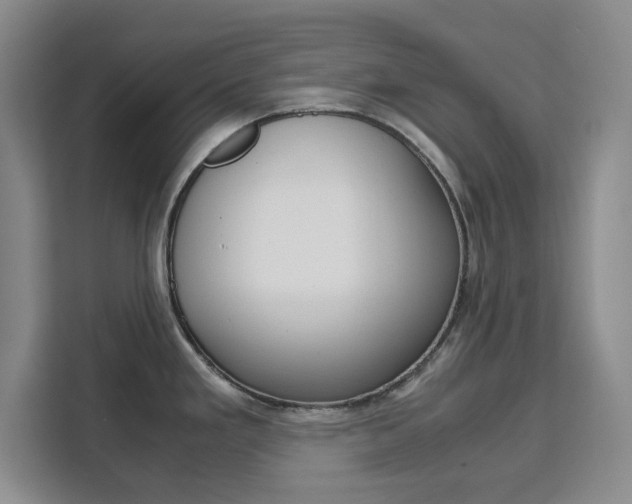 X0000111471293200907131230