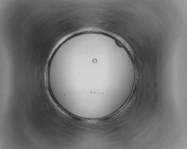 X0000111471295200907131230