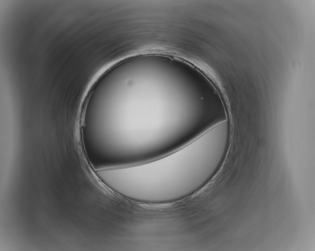 X0000111471296200907131230
