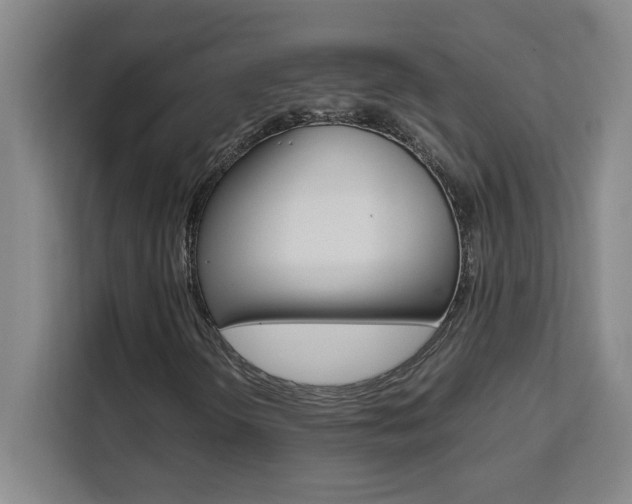 X0000111471298200907131230
