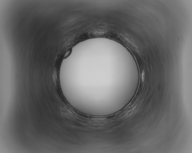X0000111471299200907131230