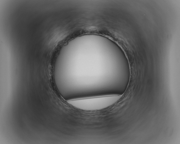 X0000111471301200907131230