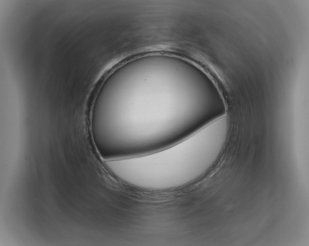 X0000111471308200907131230