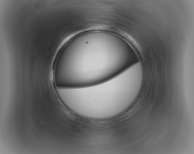 X0000111471324200907131230