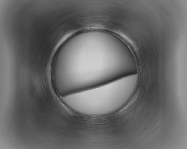 X0000111471325200907131230
