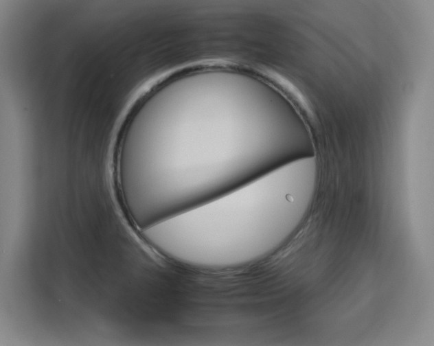 X0000111471327200907131230
