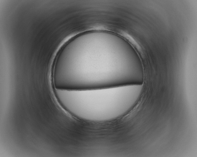 X0000111471331200907131230