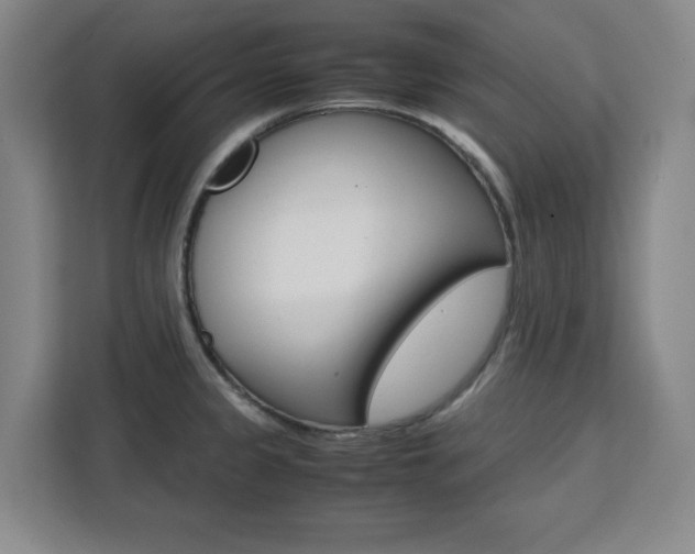 X0000111471333200907131230