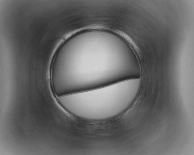 X0000111471335200907131230