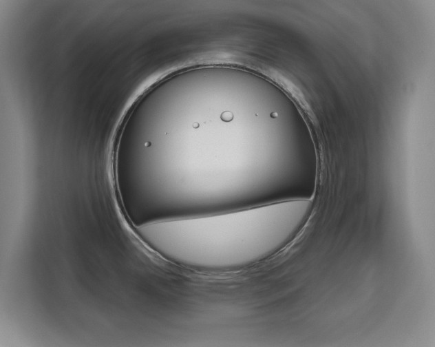 X0000111471342200907131230