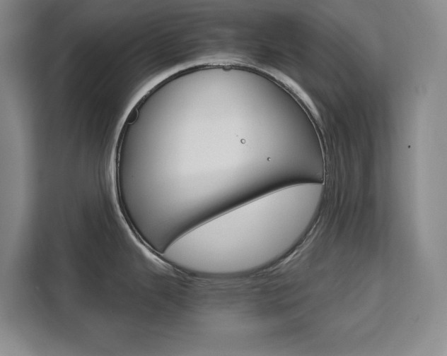 X0000111471343200907131230