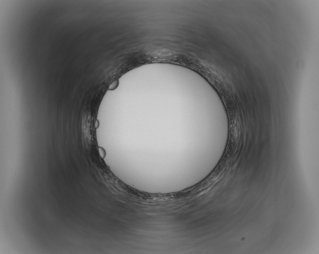 X0000111471346200907131230