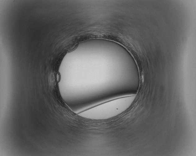 X0000111471347200907131230