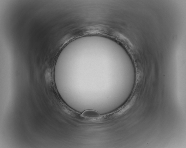 X0000111471353200907131230