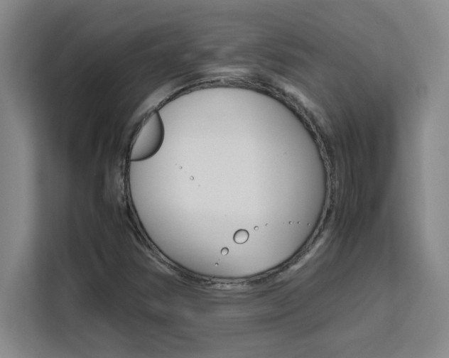 X0000111471354200907131230