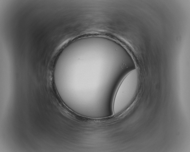 X0000111471355200907131230