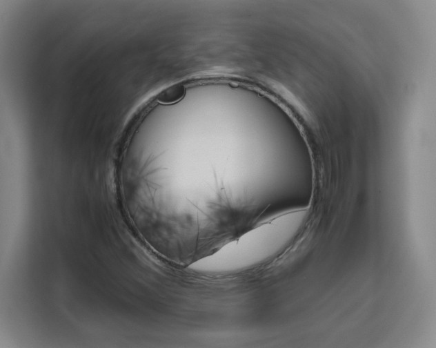 X0000111471356200907131230