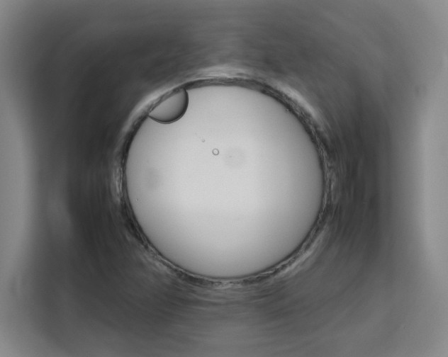 X0000111471358200907131230