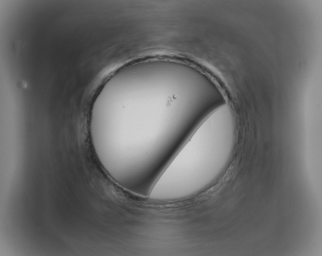 X0000111471359200907131230