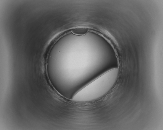 X0000111471360200907131230