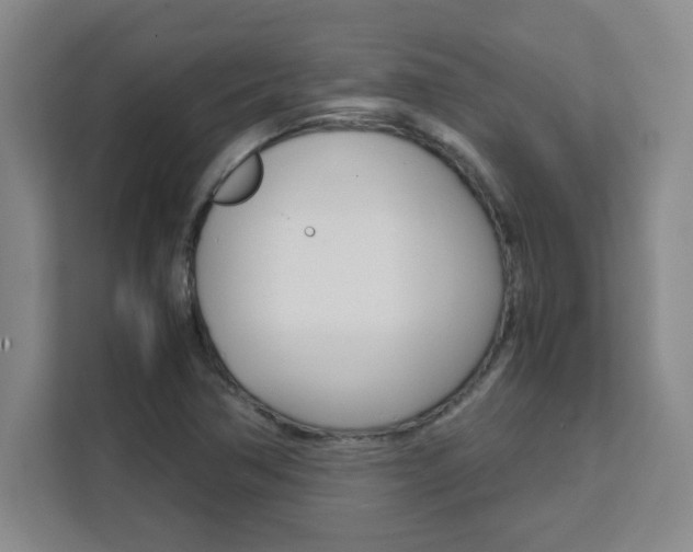 X0000111471362200907131230