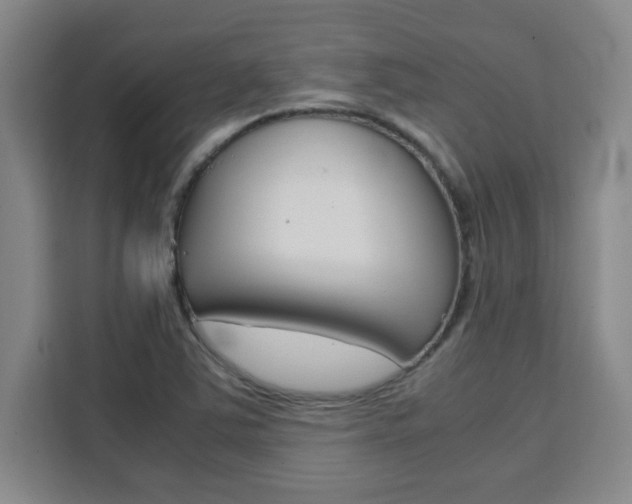 X0000111471363200907131230