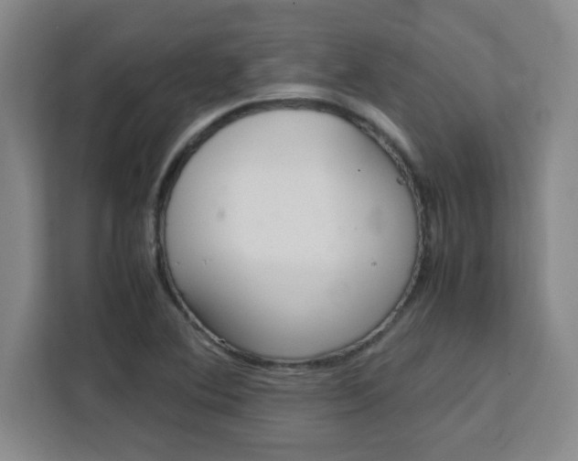 X0000111471364200907131230