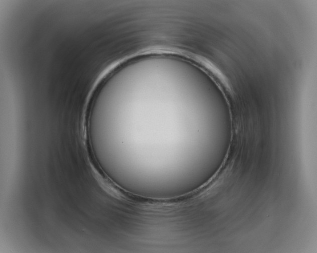 X0000111471372200907131229