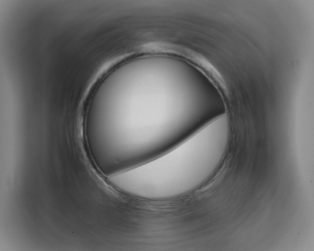 X0000111471376200907131229