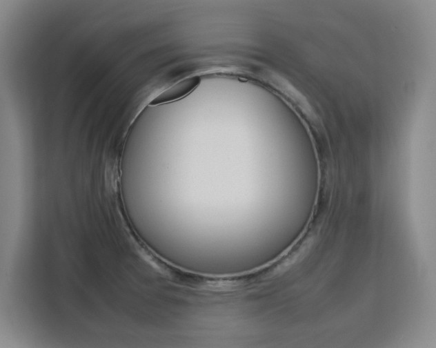 X0000111471377200907131229