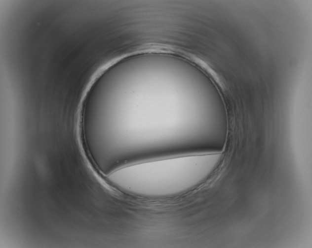 X0000111471379200907131229