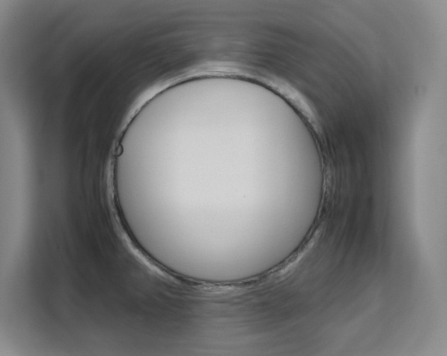 X0000111471382200907131229