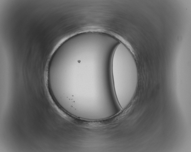 X0000111471383200907131229