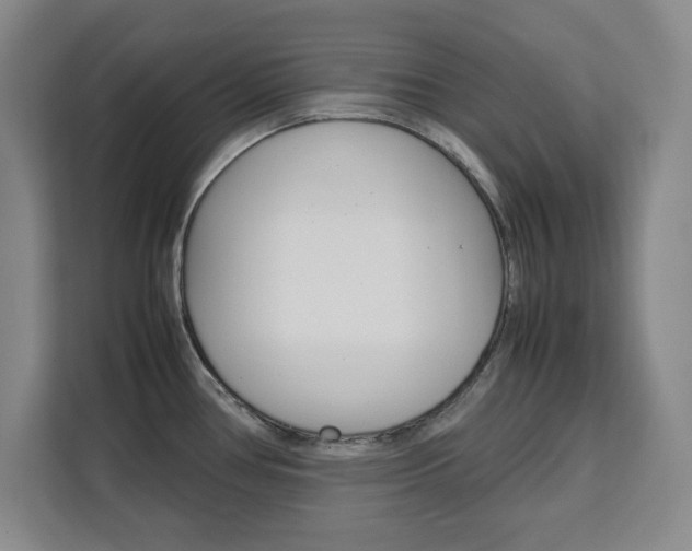 X0000111471386200907131229