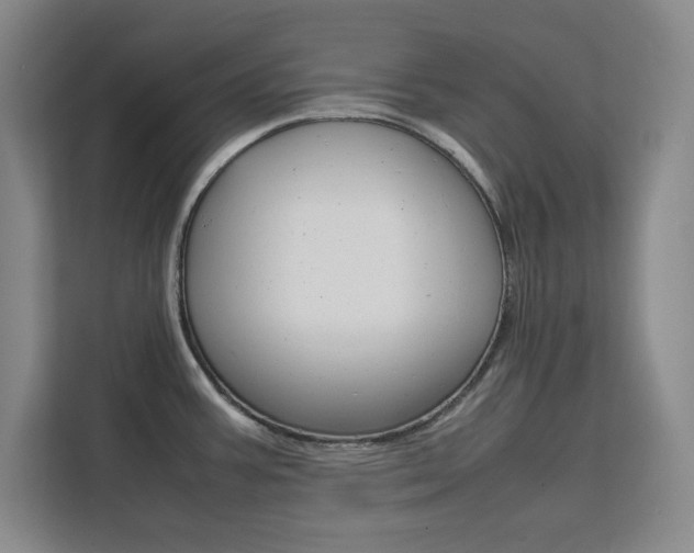 X0000111471387200907131229