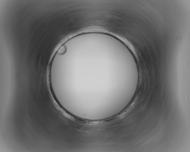 X0000111471390200907131229