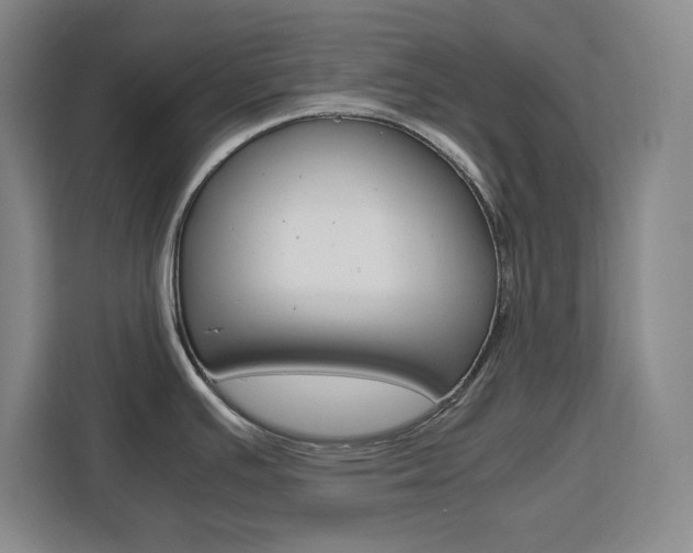 X0000111471391200907131229