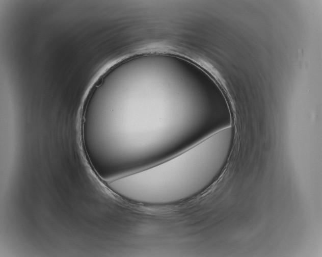 X0000111471392200907131229