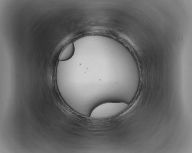 X0000111471403200907131229