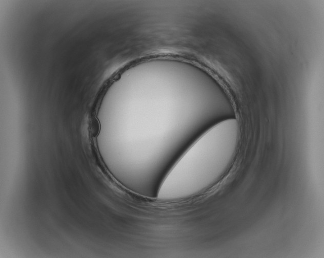 X0000111471404200907131229