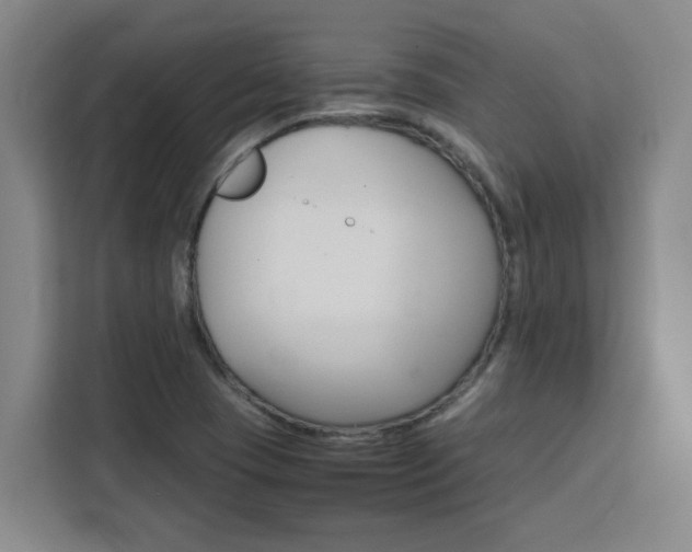 X0000111471409200907131229