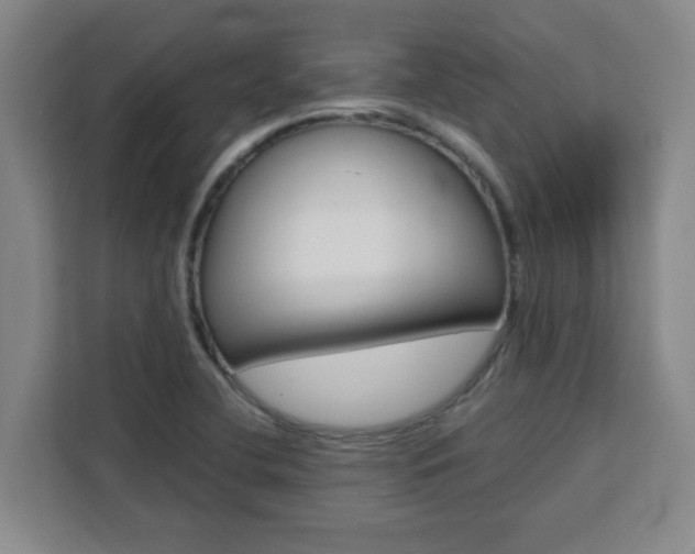 X0000111471412200907131229