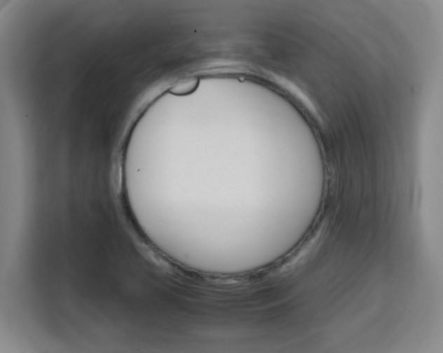 X0000111471413200907131229