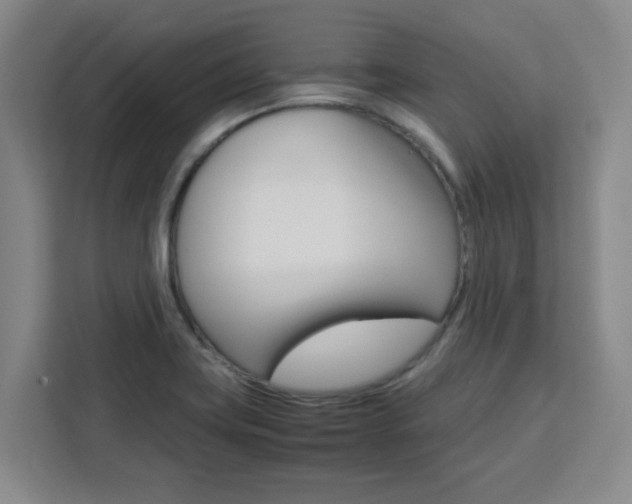 X0000111471419200907131229