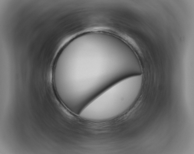 X0000111471420200907131229