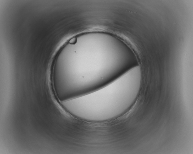 X0000111471422200907131229