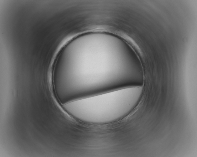 X0000111471424200907131229
