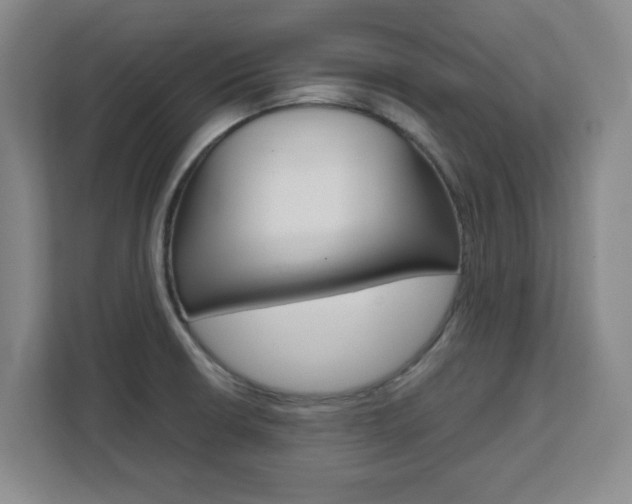 X0000111471426200907131229