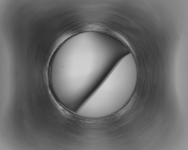X0000111471434200907131229