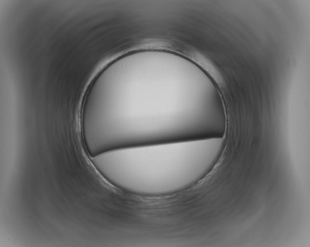 X0000111471436200907131229